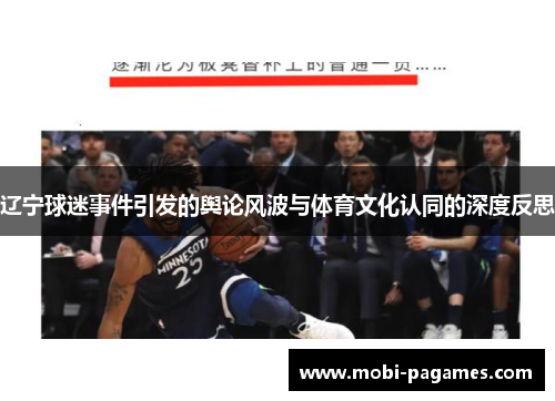 辽宁球迷事件引发的舆论风波与体育文化认同的深度反思
