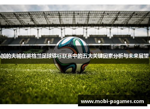 加的夫城在英格兰足球锦标联赛中的五大关键因素分析与未来展望